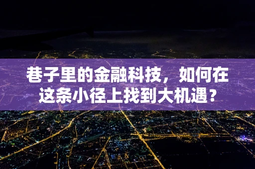 巷子里的金融科技，如何在这条小径上找到大机遇？