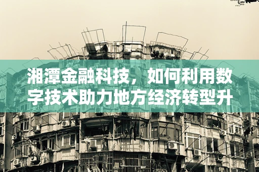 湘潭金融科技，如何利用数字技术助力地方经济转型升级？