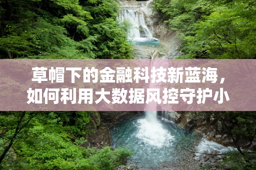 草帽下的金融科技新蓝海，如何利用大数据风控守护小微企业？