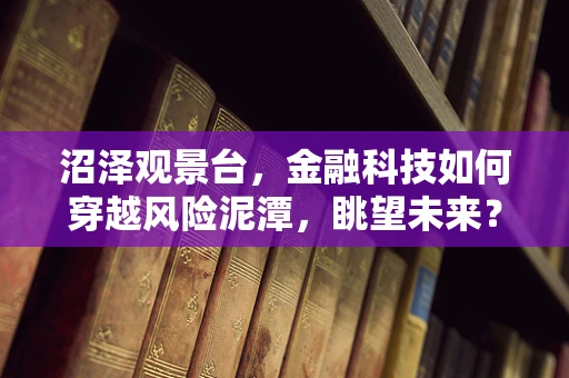 沼泽观景台，金融科技如何穿越风险泥潭，眺望未来？