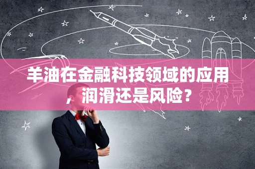 羊油在金融科技领域的应用，润滑还是风险？