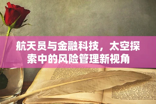 航天员与金融科技，太空探索中的风险管理新视角