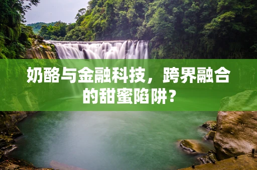 奶酪与金融科技，跨界融合的甜蜜陷阱？