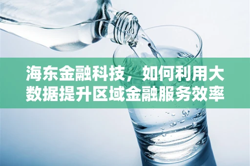 海东金融科技，如何利用大数据提升区域金融服务效率？