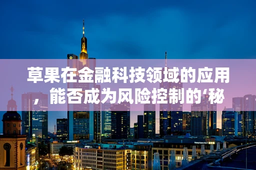 草果在金融科技领域的应用，能否成为风险控制的‘秘制调料’？