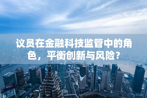 议员在金融科技监管中的角色，平衡创新与风险？