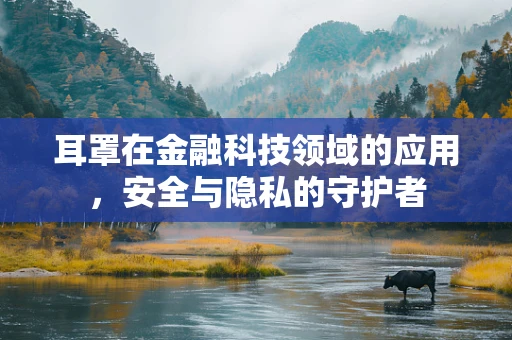 耳罩在金融科技领域的应用，安全与隐私的守护者