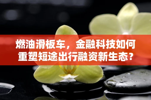 燃油滑板车，金融科技如何重塑短途出行融资新生态？