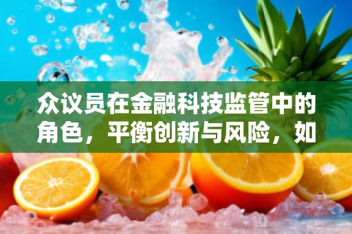 众议员在金融科技监管中的角色，平衡创新与风险，如何精准拿捏？