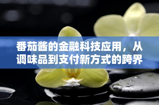 番茄酱的金融科技应用，从调味品到支付新方式的跨界探索