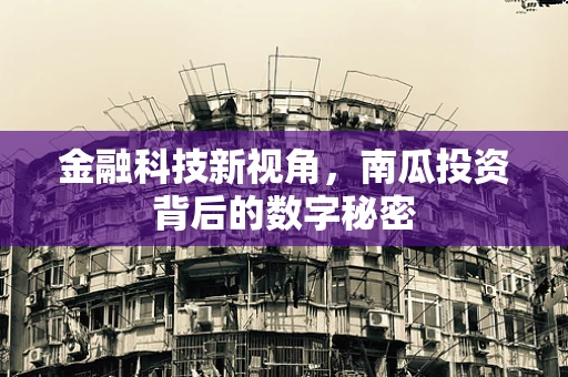 金融科技新视角，南瓜投资背后的数字秘密