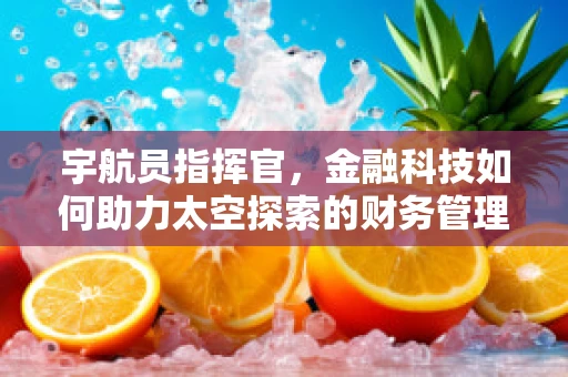 宇航员指挥官，金融科技如何助力太空探索的财务管理？