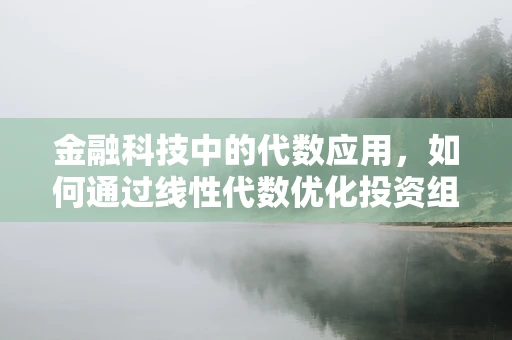 金融科技中的代数应用，如何通过线性代数优化投资组合？