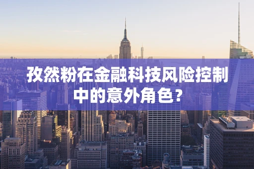 孜然粉在金融科技风险控制中的意外角色？