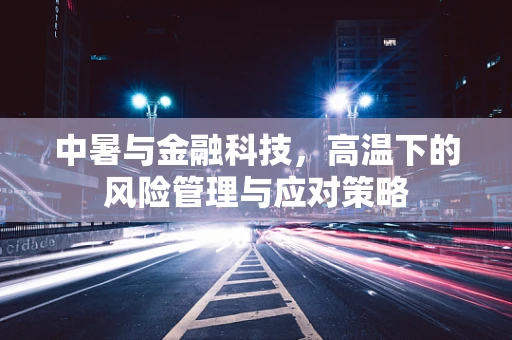 中暑与金融科技，高温下的风险管理与应对策略