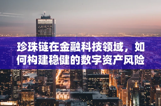 珍珠链在金融科技领域，如何构建稳健的数字资产风险管理链？
