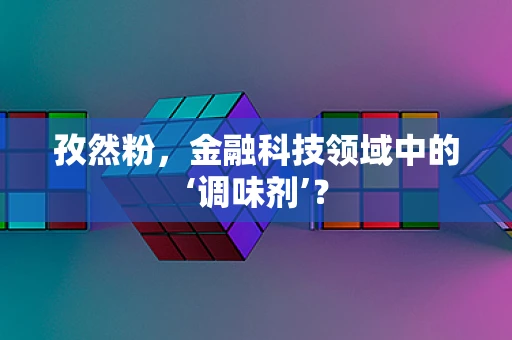 孜然粉，金融科技领域中的‘调味剂’？