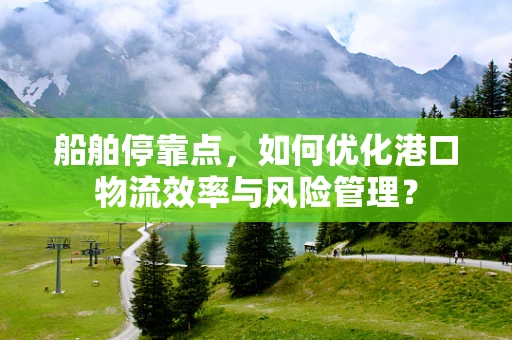 船舶停靠点，如何优化港口物流效率与风险管理？
