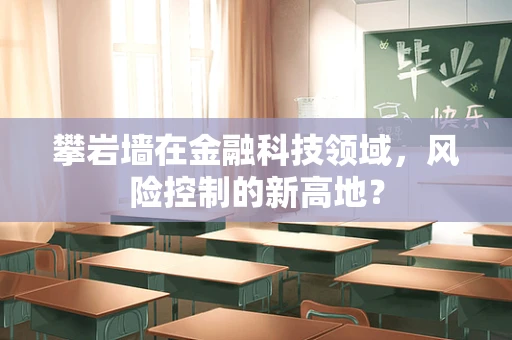 攀岩墙在金融科技领域，风险控制的新高地？