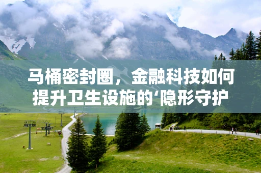 马桶密封圈，金融科技如何提升卫生设施的‘隐形守护者’？