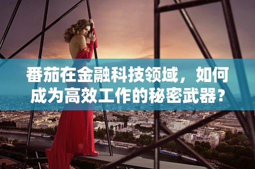 番茄在金融科技领域，如何成为高效工作的秘密武器？