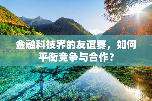 金融科技界的友谊赛，如何平衡竞争与合作？