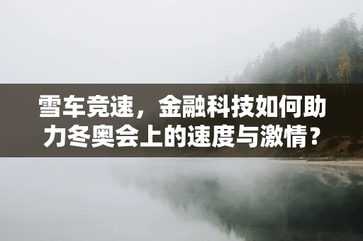 雪车竞速，金融科技如何助力冬奥会上的速度与激情？