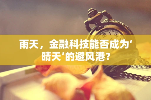 雨天，金融科技能否成为‘晴天’的避风港？