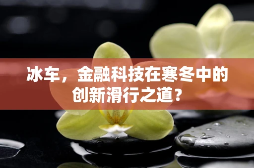 冰车，金融科技在寒冬中的创新滑行之道？