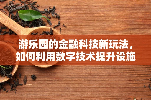 游乐园的金融科技新玩法，如何利用数字技术提升设施体验？