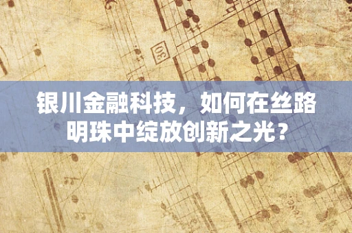 银川金融科技，如何在丝路明珠中绽放创新之光？