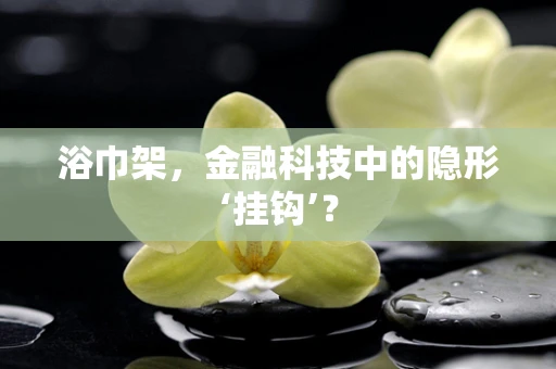 浴巾架，金融科技中的隐形‘挂钩’？