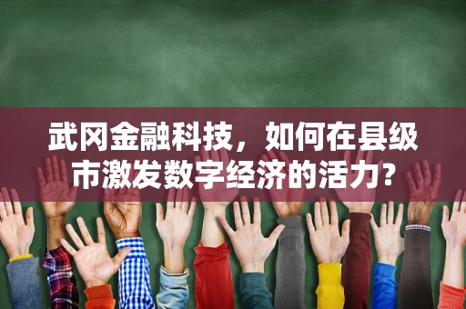 武冈金融科技，如何在县级市激发数字经济的活力？