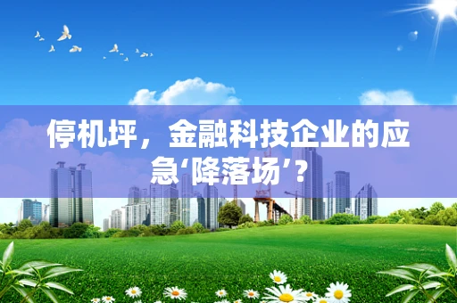 停机坪，金融科技企业的应急‘降落场’？
