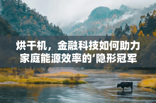 烘干机，金融科技如何助力家庭能源效率的‘隐形冠军’？