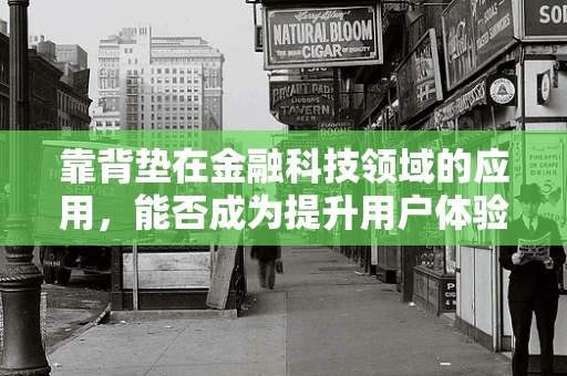 靠背垫在金融科技领域的应用，能否成为提升用户体验的新利器？