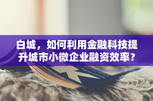白城，如何利用金融科技提升城市小微企业融资效率？
