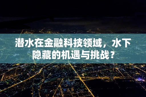 潜水在金融科技领域，水下隐藏的机遇与挑战？