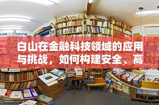 白山在金融科技领域的应用与挑战，如何构建安全、高效的跨境支付通道？