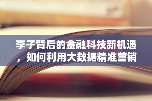 李子背后的金融科技新机遇，如何利用大数据精准营销？