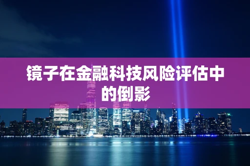 镜子在金融科技风险评估中的倒影
