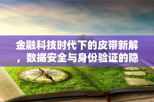 金融科技时代下的皮带新解，数据安全与身份验证的隐形纽带