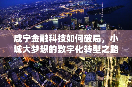 咸宁金融科技如何破局，小城大梦想的数字化转型之路？