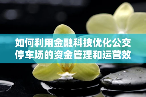 如何利用金融科技优化公交停车场的资金管理和运营效率？