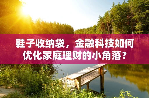 鞋子收纳袋，金融科技如何优化家庭理财的小角落？