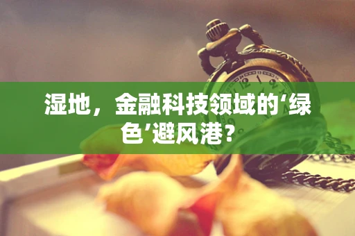 湿地，金融科技领域的‘绿色’避风港？
