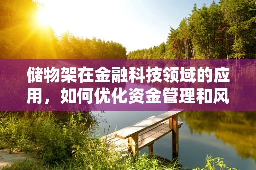 储物架在金融科技领域的应用，如何优化资金管理和风险控制？