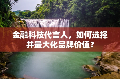 金融科技代言人，如何选择并最大化品牌价值？