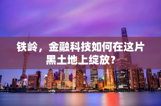 铁岭，金融科技如何在这片黑土地上绽放？