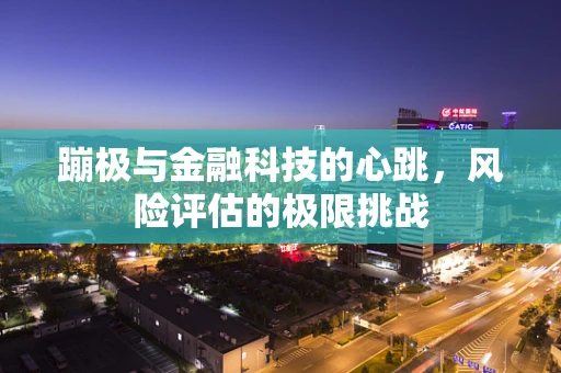 蹦极与金融科技的心跳，风险评估的极限挑战